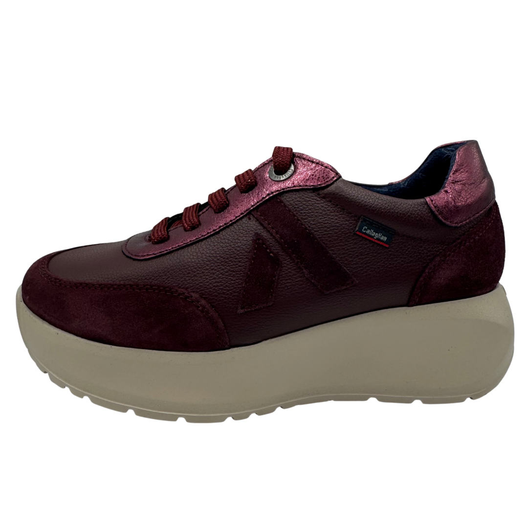 Callaghan Wine Trainers
