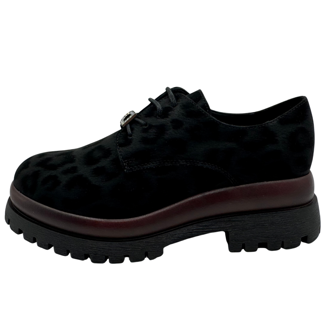 Donna Serena Black Leopard Print Brogues